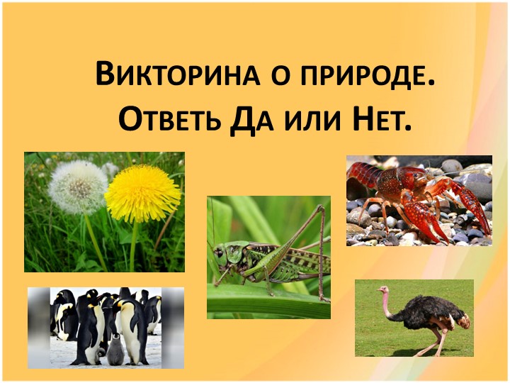 Презентация "Викторина о природе" 1-4 классы. Можно использовать как на уроке по окружающему миру или внеурочке. - Скачать школьные презентации PowerPoint бесплатно | Портал бесплатных презентаций school-present.com