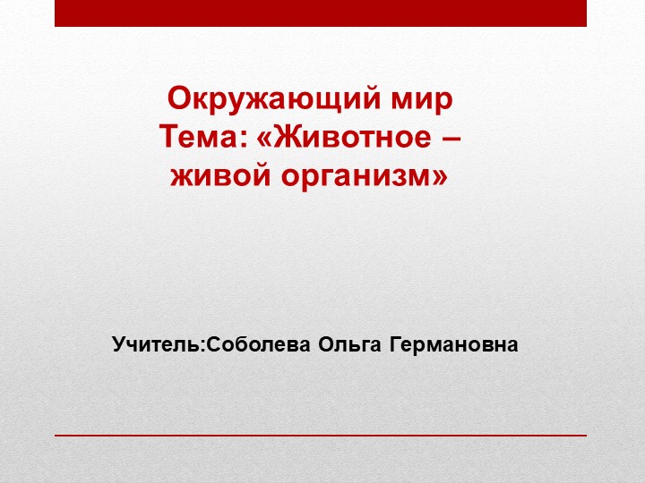 Презентация "Животные -живые организмы" - Скачать школьные презентации PowerPoint бесплатно | Портал бесплатных презентаций school-present.com