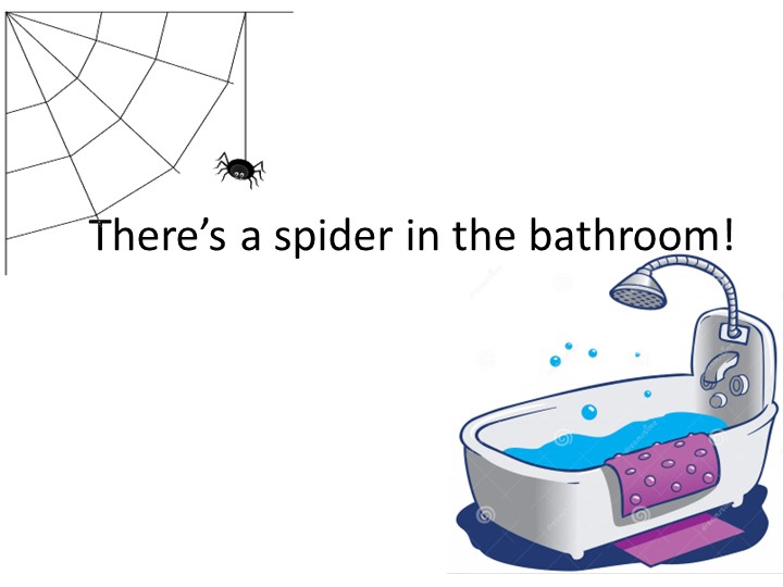 Презентация по английскому языку "There’s a spider in the bathroom" (2 класс) - Скачать школьные презентации PowerPoint бесплатно | Портал бесплатных презентаций school-present.com