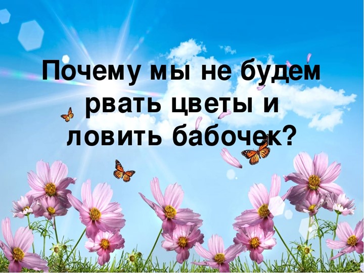 Презентация к уроку по окружающему миру на тему «Почему мы не будем рвать цветы и ловить бабочек?» 1 класс - Скачать школьные презентации PowerPoint бесплатно | Портал бесплатных презентаций school-present.com