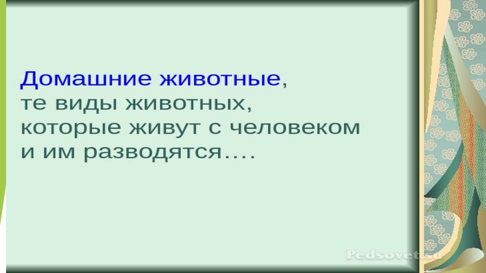 Внеклассное занятие "День защиты животных" - Скачать школьные презентации PowerPoint бесплатно | Портал бесплатных презентаций school-present.com