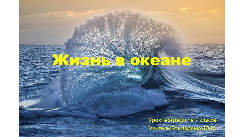 Презентация по географии на тему "Жизнь в океане" - Скачать школьные презентации PowerPoint бесплатно | Портал бесплатных презентаций school-present.com