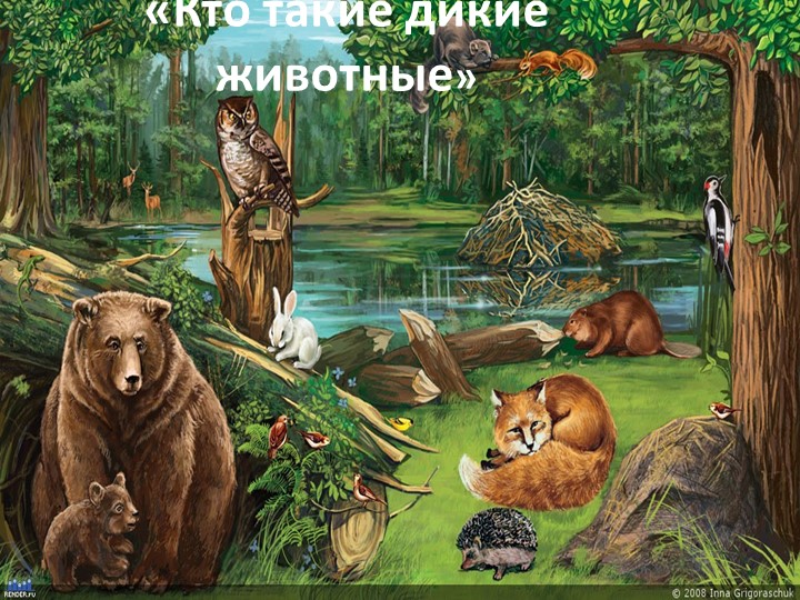 Презентация на тему "Дикие животные" - Скачать школьные презентации PowerPoint бесплатно | Портал бесплатных презентаций school-present.com