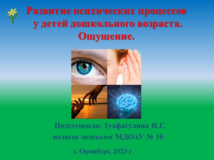 Развитие ощущений у детей - Скачать школьные презентации PowerPoint бесплатно | Портал бесплатных презентаций school-present.com