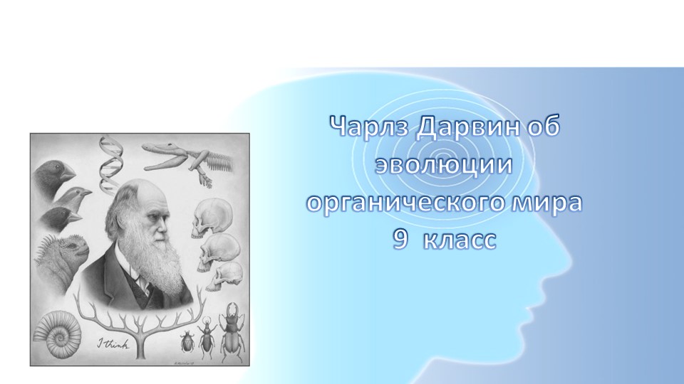 Презентация к уроку " Чарлз Дарвин об эволюции органического мира" - Скачать школьные презентации PowerPoint бесплатно | Портал бесплатных презентаций school-present.com