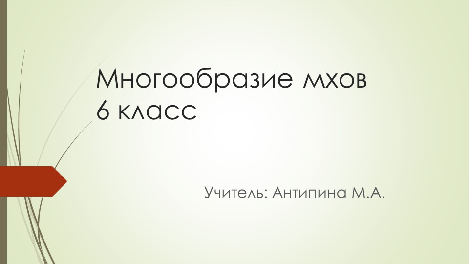 Презентация 6 класс "Мхи" - Скачать школьные презентации PowerPoint бесплатно | Портал бесплатных презентаций school-present.com