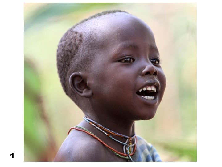 Презентация по теме "Расы" - Скачать школьные презентации PowerPoint бесплатно | Портал бесплатных презентаций school-present.com