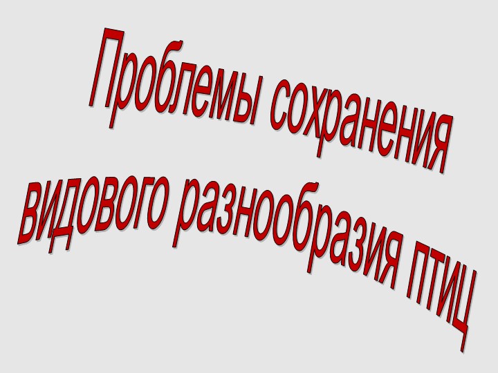 Презентация "Сохранение биоразнообразия птиц" - Скачать школьные презентации PowerPoint бесплатно | Портал бесплатных презентаций school-present.com
