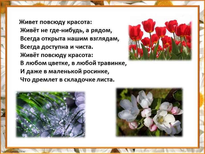 Презентация по литературе на тему: " Красота человеческая" - Скачать школьные презентации PowerPoint бесплатно | Портал бесплатных презентаций school-present.com