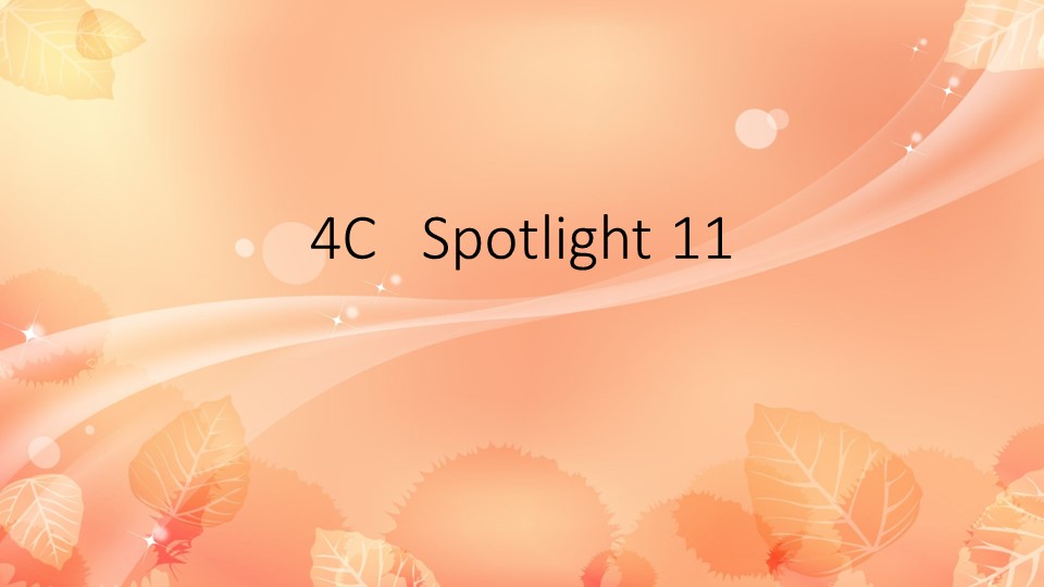 Презентация 4C Spotligt 11 - Скачать школьные презентации PowerPoint бесплатно | Портал бесплатных презентаций school-present.com