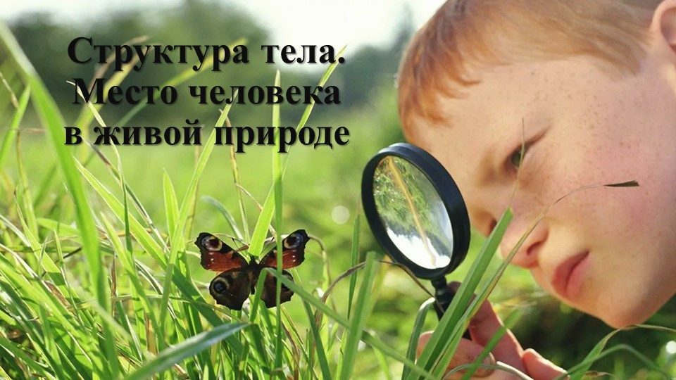 Тема: "Структура тела. Место человека в живой природе" - Скачать школьные презентации PowerPoint бесплатно | Портал бесплатных презентаций school-present.com