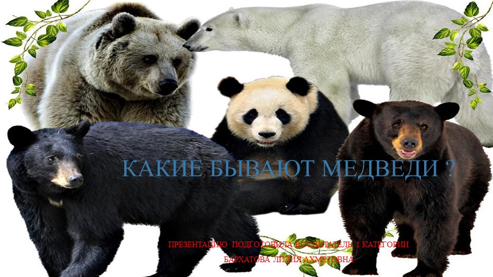 Презентация по окружающему миру "какие бывают медведи? - Скачать школьные презентации PowerPoint бесплатно | Портал бесплатных презентаций school-present.com