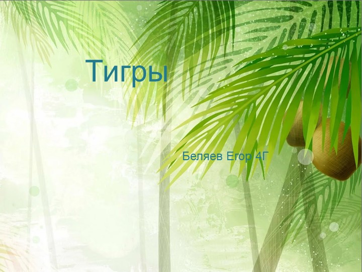 Презентация по технологии на тему" Тигры" (4 класс) - Скачать школьные презентации PowerPoint бесплатно | Портал бесплатных презентаций school-present.com