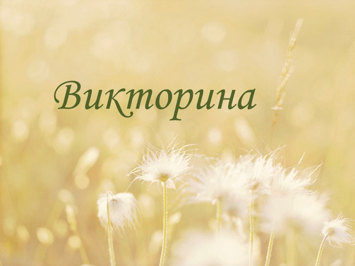 Презентация "Викторина" (6 класс) - Скачать школьные презентации PowerPoint бесплатно | Портал бесплатных презентаций school-present.com