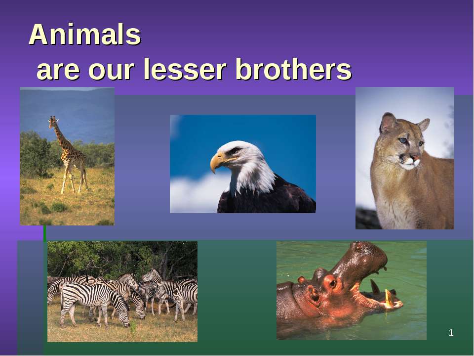 Animals are our lesser brothers - Скачать школьные презентации PowerPoint бесплатно | Портал бесплатных презентаций school-present.com
