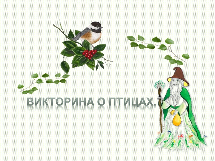 Презентация "Викторина о птицах". - Скачать школьные презентации PowerPoint бесплатно | Портал бесплатных презентаций school-present.com