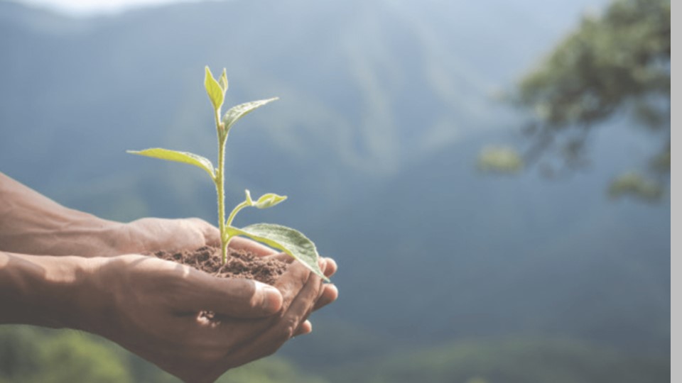 Презентация по английскому языку "Ecology" - Скачать школьные презентации PowerPoint бесплатно | Портал бесплатных презентаций school-present.com