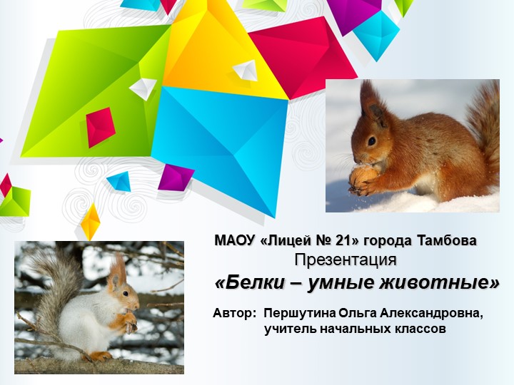 Презентация "Белки - умные животные" - Скачать школьные презентации PowerPoint бесплатно | Портал бесплатных презентаций school-present.com