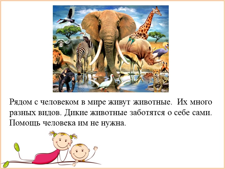 Презентация к позновательно-развлекательному мероприятию "Наши питомцы" - Скачать школьные презентации PowerPoint бесплатно | Портал бесплатных презентаций school-present.com