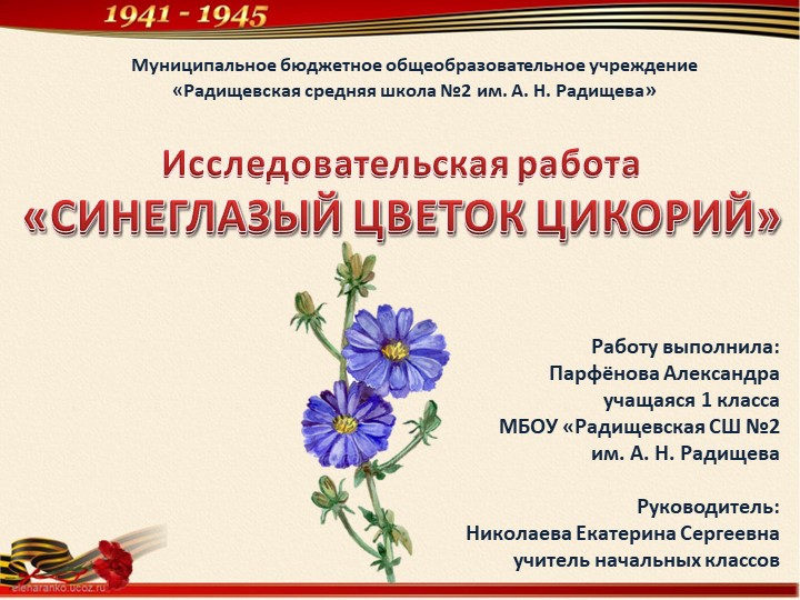 Исследовательская работа «СИНЕГЛАЗЫЙ ЦВЕТОК ЦИКОРИЙ» - Скачать школьные презентации PowerPoint бесплатно | Портал бесплатных презентаций school-present.com
