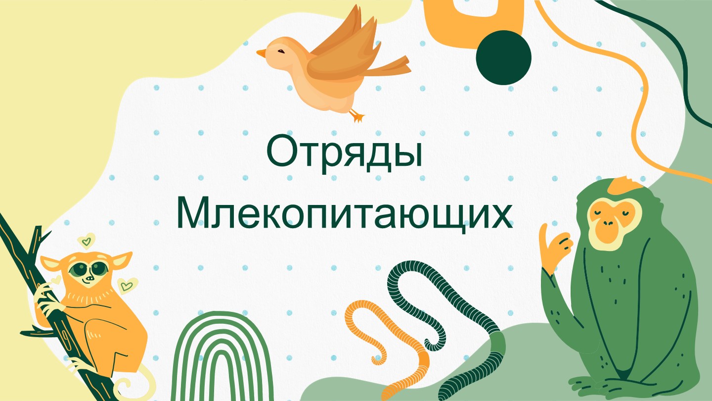 Презентация по биологии на тему "Отряды Млекопитающих" - Скачать школьные презентации PowerPoint бесплатно | Портал бесплатных презентаций school-present.com