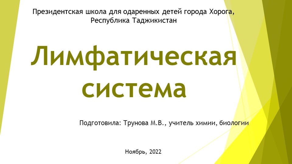 Презентация по биологии на тему "Лимфатическая система" (9 класс) - Скачать школьные презентации PowerPoint бесплатно | Портал бесплатных презентаций school-present.com