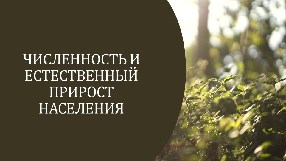 Презентация по географии на тему "Численность и прирост населения" (9 класс) - Скачать школьные презентации PowerPoint бесплатно | Портал бесплатных презентаций school-present.com