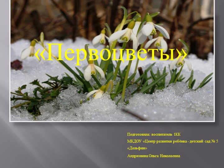 Презентация на тему "Первоцветы"(средняя группа). - Скачать школьные презентации PowerPoint бесплатно | Портал бесплатных презентаций school-present.com