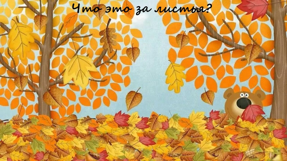 Что это за листья - Скачать школьные презентации PowerPoint бесплатно | Портал бесплатных презентаций school-present.com