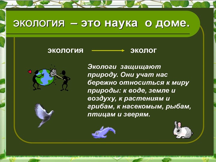 Презентация "Экологическое воспитание младших школьников" - Скачать школьные презентации PowerPoint бесплатно | Портал бесплатных презентаций school-present.com