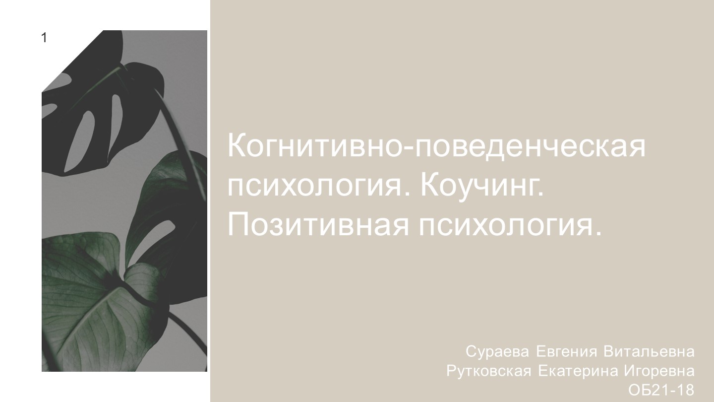 Когнитивно-поведенческая психология. Коучинг. Позитивная психология. - Скачать школьные презентации PowerPoint бесплатно | Портал бесплатных презентаций school-present.com