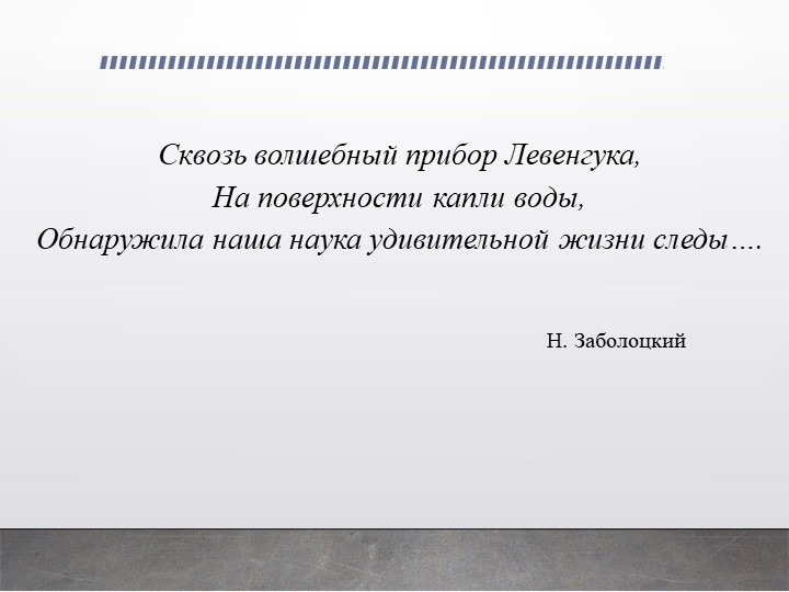 Презентация по биологии на тему "Царство бактерии" - Скачать школьные презентации PowerPoint бесплатно | Портал бесплатных презентаций school-present.com