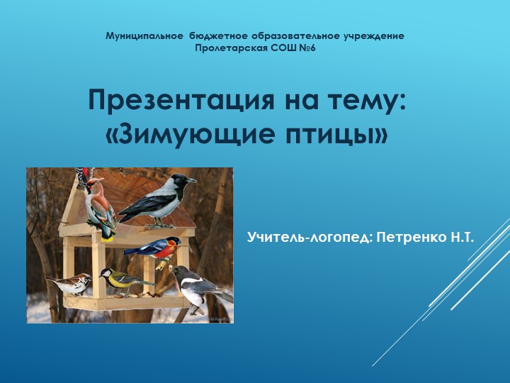 Презентация к занятию на тему "Зимующие птицы" - Скачать школьные презентации PowerPoint бесплатно | Портал бесплатных презентаций school-present.com