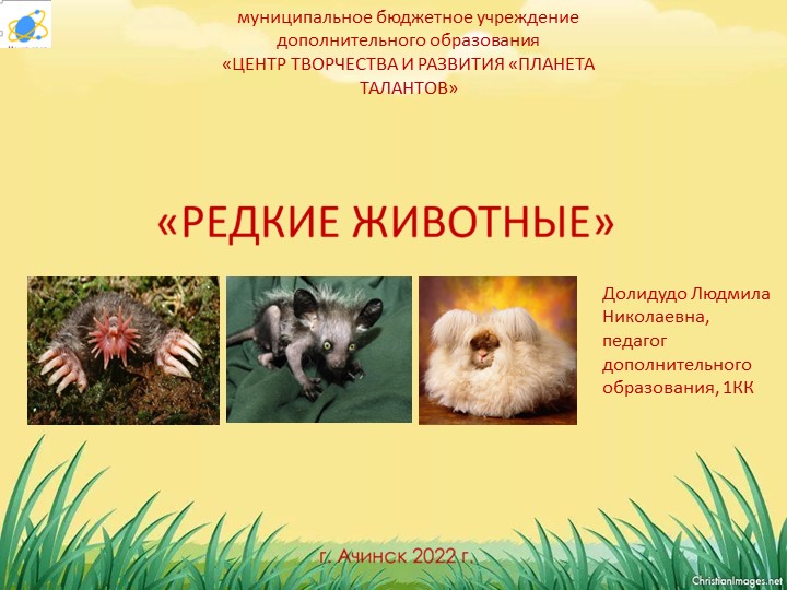 Презентация по экологии "Редкие животные" - Скачать школьные презентации PowerPoint бесплатно | Портал бесплатных презентаций school-present.com