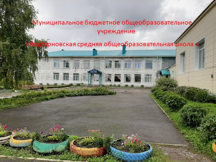 Презентация на тему "Цветник МБОУ Подгорновская СОШ" - Скачать школьные презентации PowerPoint бесплатно | Портал бесплатных презентаций school-present.com