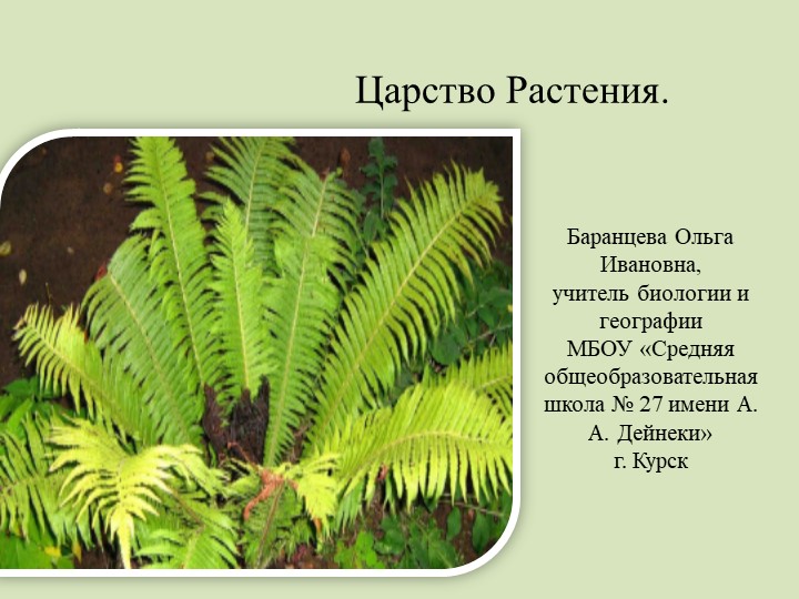 Царство Растения. Царство Растения. Систематический обзор царства Растения: мхи, папоротникообразные, голосеменные и покрытосеменные. Ткани и органы высших растений. - Скачать школьные презентации PowerPoint бесплатно | Портал бесплатных презентаций school-present.com