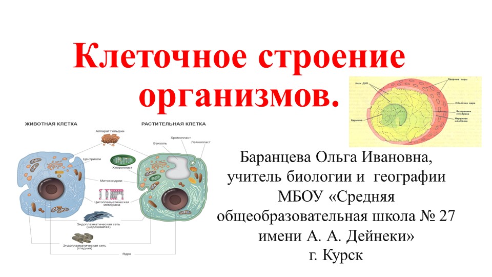 2.1. Клеточное строение организмов Клеточное строение организмов как доказательство их родства, единства живой природы. Гены и хромосомы. Нарушения в строении и функционировании клеток. Вирусы. - Скачать школьные презентации PowerPoint бесплатно | Портал бесплатных презентаций school-present.com