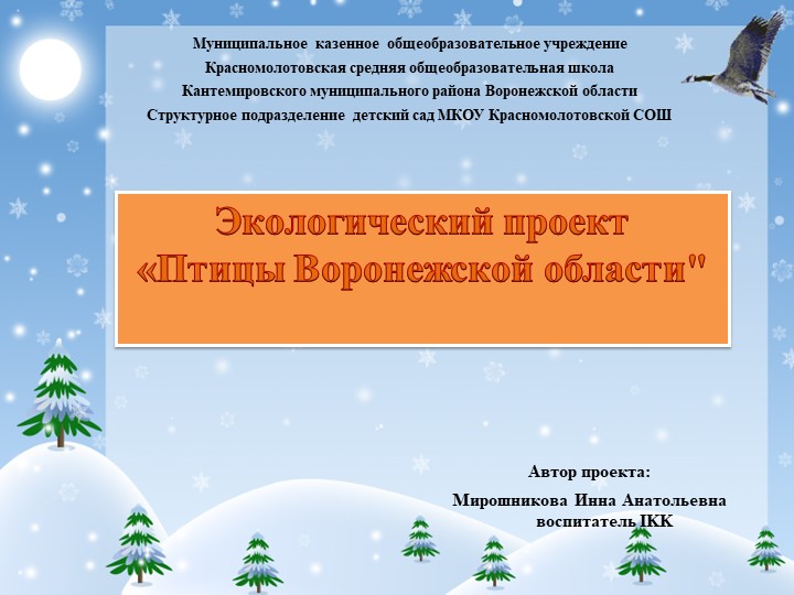 Презентация экологический проект "Птицы Воронежской области" - Скачать школьные презентации PowerPoint бесплатно | Портал бесплатных презентаций school-present.com