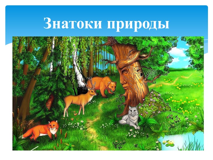 Презентация к занятию по окружающему миру "Знатоки природы" - Скачать школьные презентации PowerPoint бесплатно | Портал бесплатных презентаций school-present.com