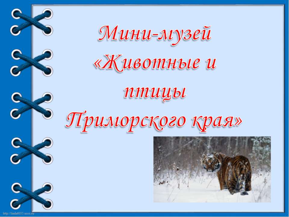Мини музей "Животные и птицы Приморского края"