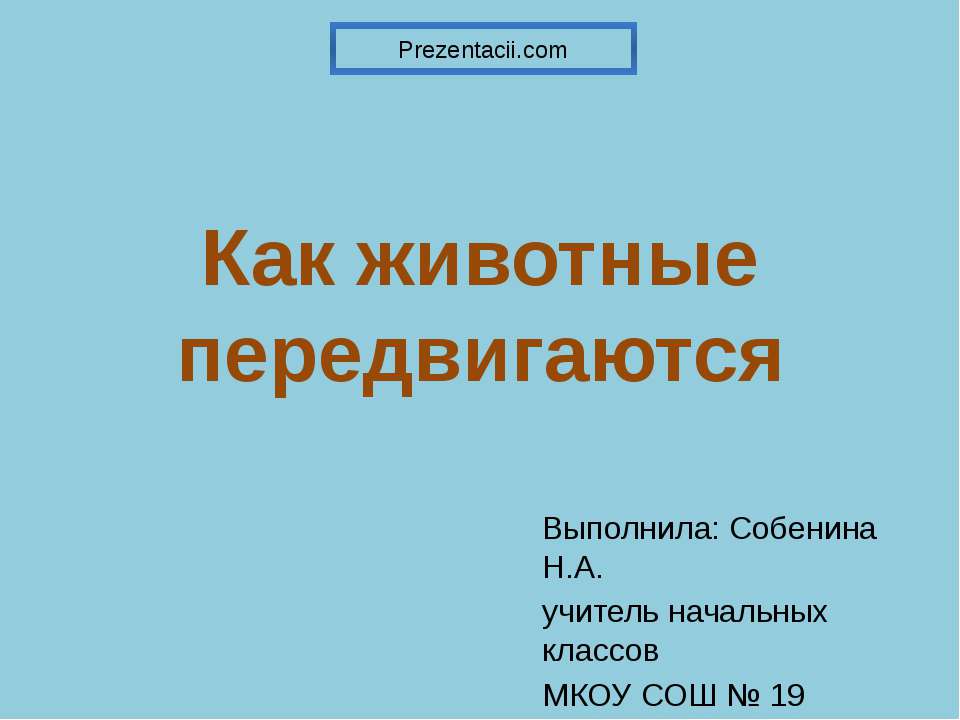 Как животные передвигаются - Скачать школьные презентации PowerPoint бесплатно | Портал бесплатных презентаций school-present.com