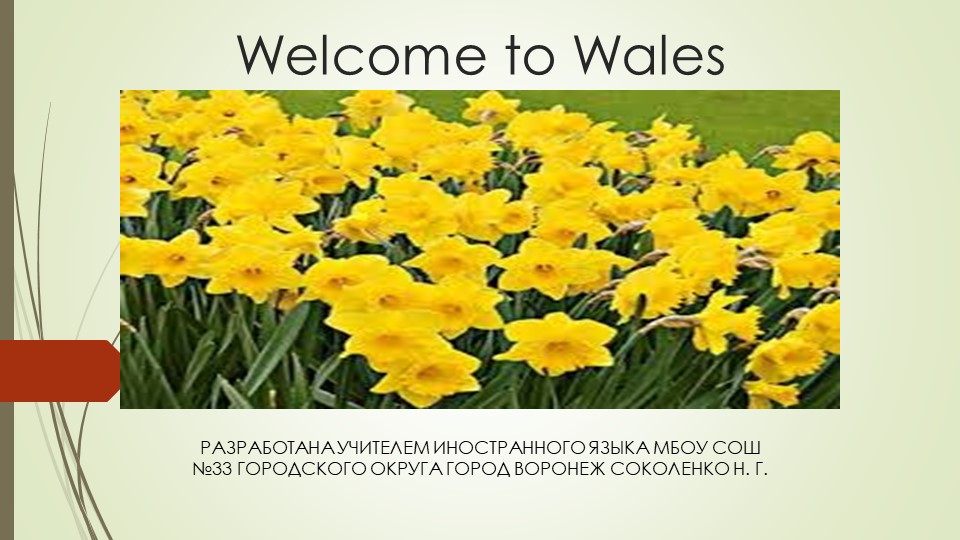 Презентация на тему "Добро пожаловать в Уэльс" - Скачать школьные презентации PowerPoint бесплатно | Портал бесплатных презентаций school-present.com