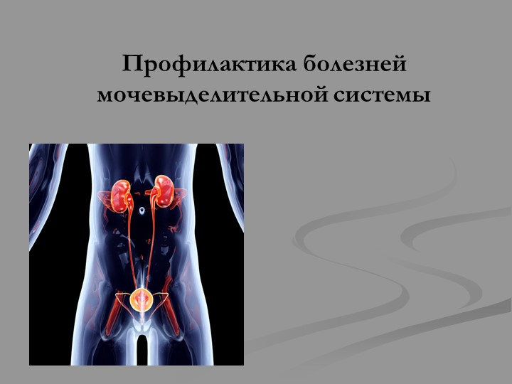 Урок презентация на тему "Профилактика болезней мочевыделительной системы" - Скачать школьные презентации PowerPoint бесплатно | Портал бесплатных презентаций school-present.com