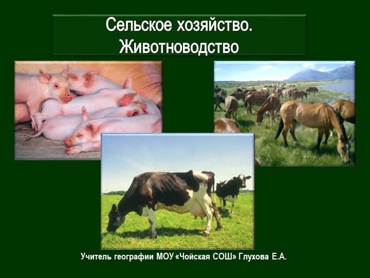 Презентация на тему: "Животноводство" - Скачать школьные презентации PowerPoint бесплатно | Портал бесплатных презентаций school-present.com