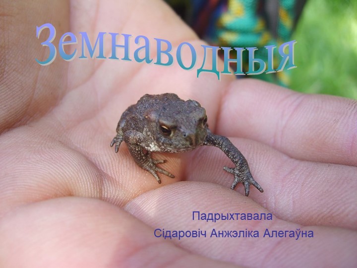 Прэзентацыя па прадмеце "Чалавек і свет" па тэме "Земнаводныя" (2 клас) - Скачать школьные презентации PowerPoint бесплатно | Портал бесплатных презентаций school-present.com