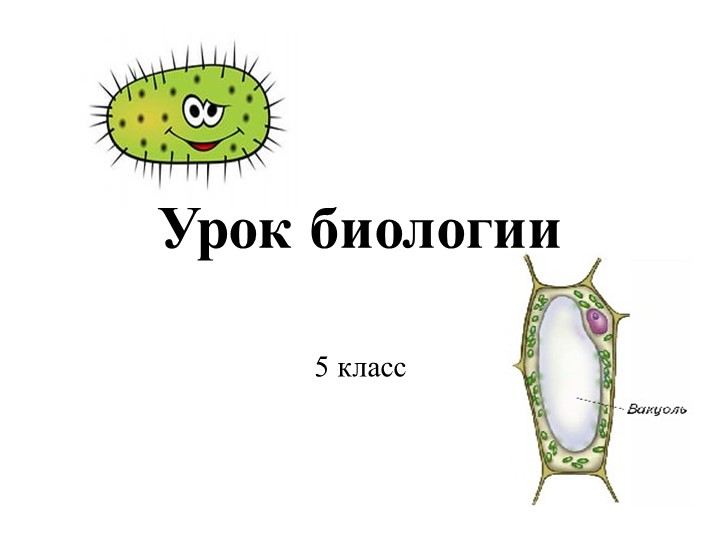 Презентация по биологии "Бактерии" 5 класс - Скачать школьные презентации PowerPoint бесплатно | Портал бесплатных презентаций school-present.com