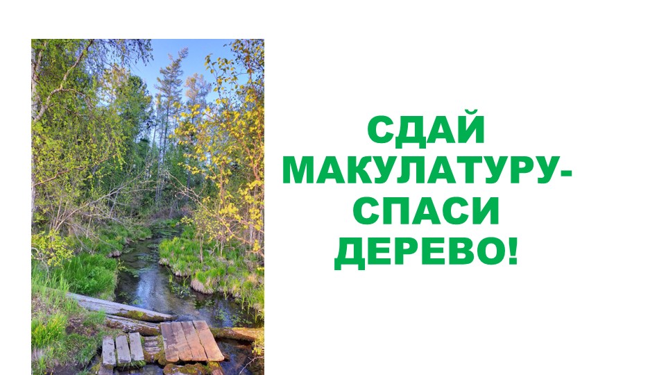 Презентация " Сдай макулатуру- спаси дерево" - Скачать школьные презентации PowerPoint бесплатно | Портал бесплатных презентаций school-present.com