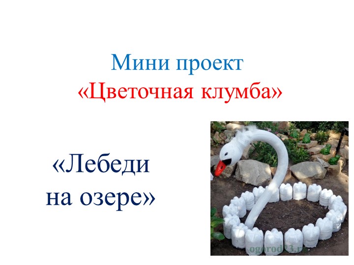 Проект с родителями "Цветочная клумба" - Скачать школьные презентации PowerPoint бесплатно | Портал бесплатных презентаций school-present.com