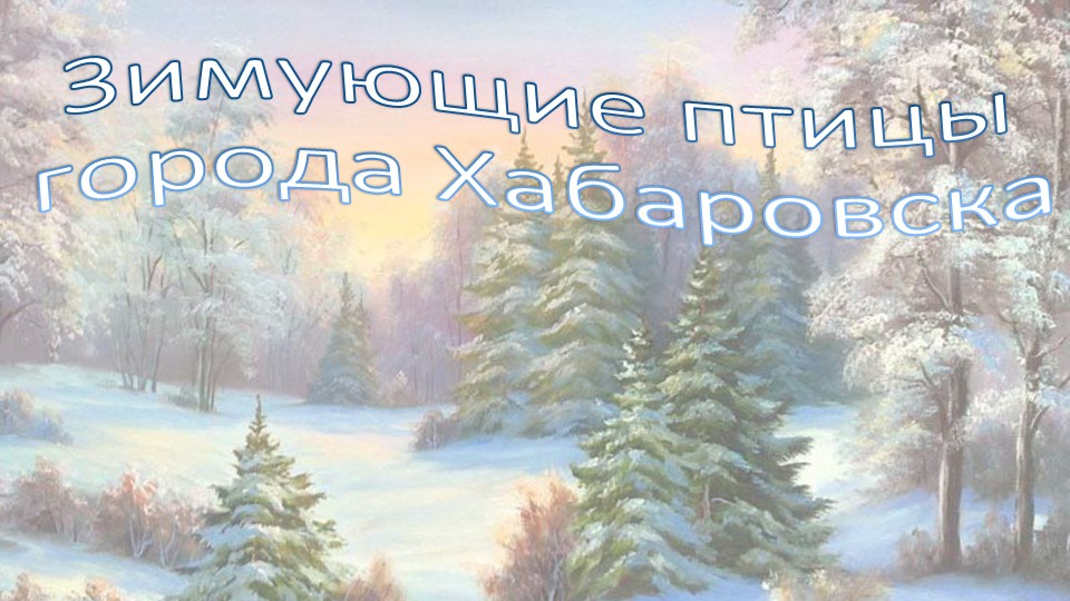 Зимующие птицы (выполнили учащиеся 7В класса).pptx - Скачать школьные презентации PowerPoint бесплатно | Портал бесплатных презентаций school-present.com