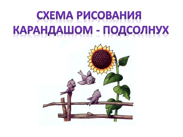 Презентация для начальной школы "Подсолнухи" - Скачать школьные презентации PowerPoint бесплатно | Портал бесплатных презентаций school-present.com